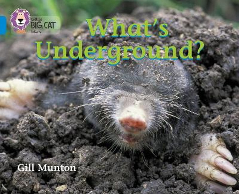 What's Underground cover
