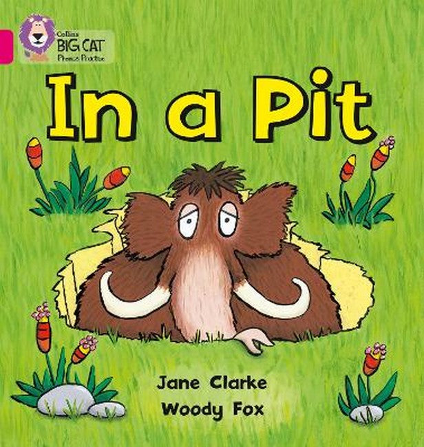 In a Pit cover