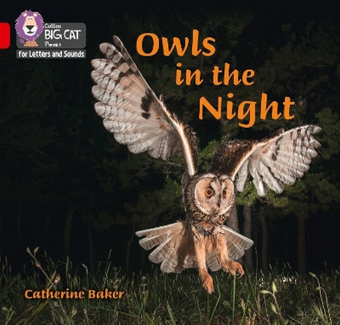 Owls in the Night cover