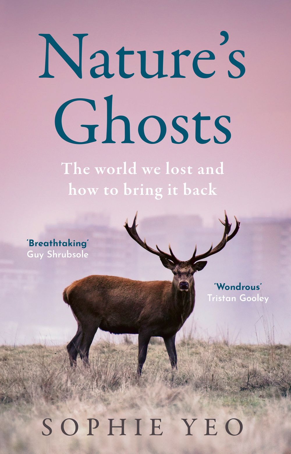 Nature's Ghost: The world we lost and how to bring it back