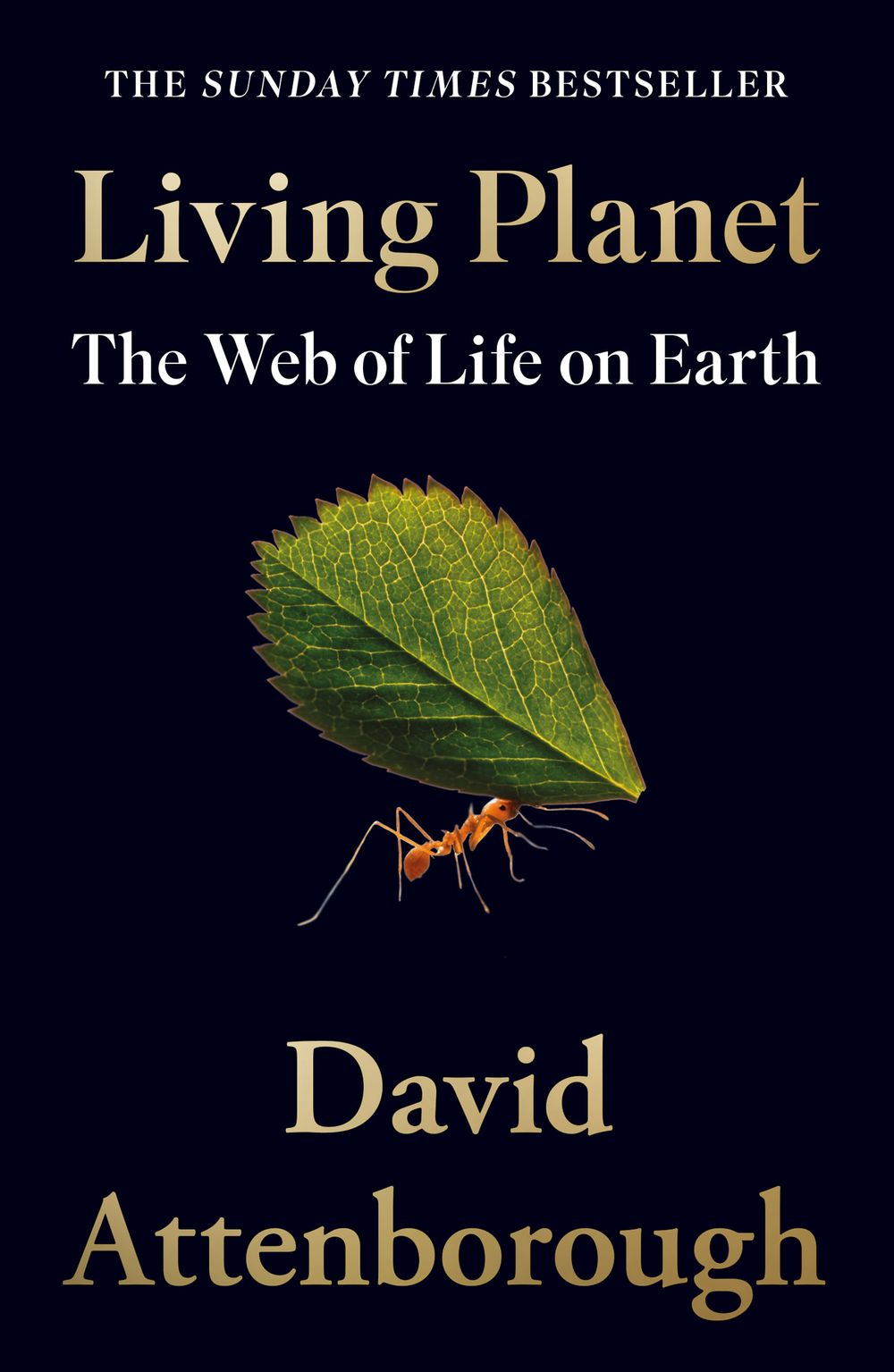 The Living Planet: A Portrait of the Earth