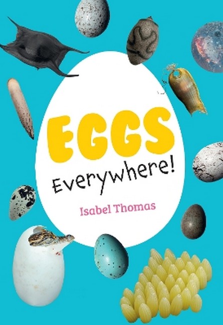Eggs Everywhere! cover