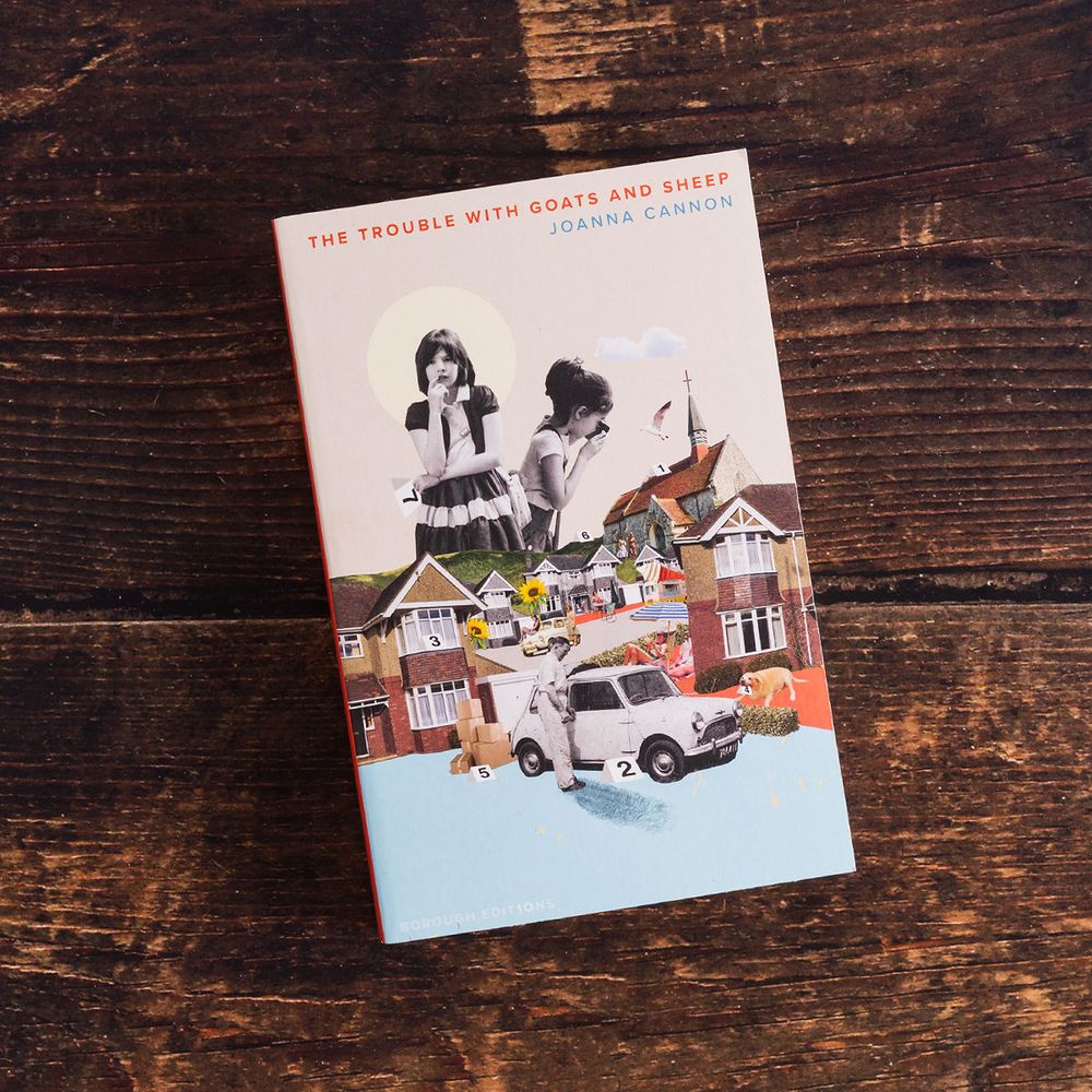 The Trouble With Goats And Sheep