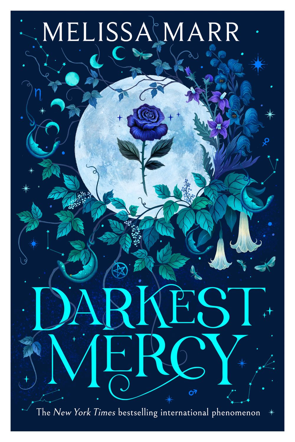 Darkest Mercy: Wicked Lovely #5