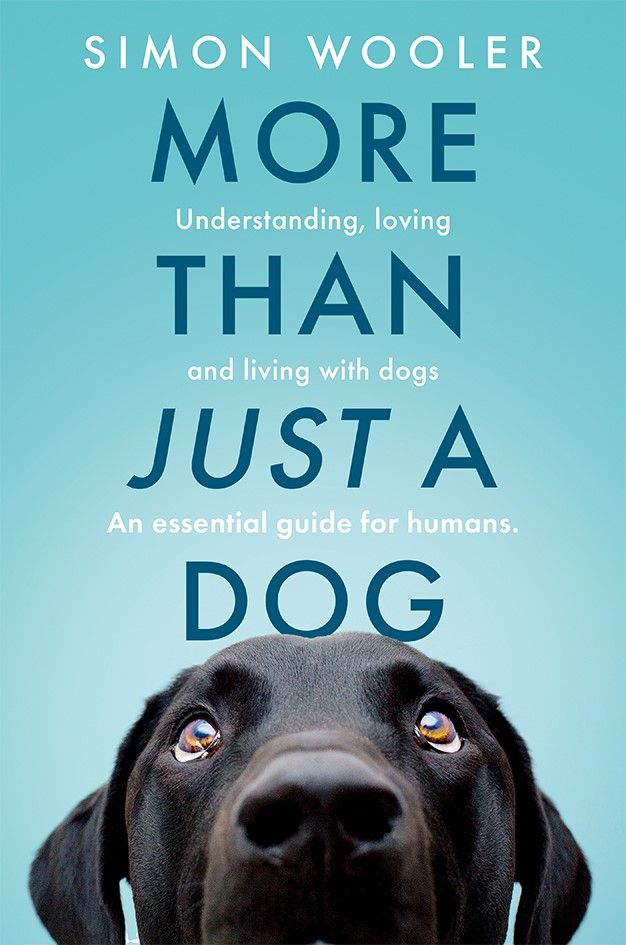 More Than Just A Dog: Understanding, loving and living with dogs. An essential guide for humans.
