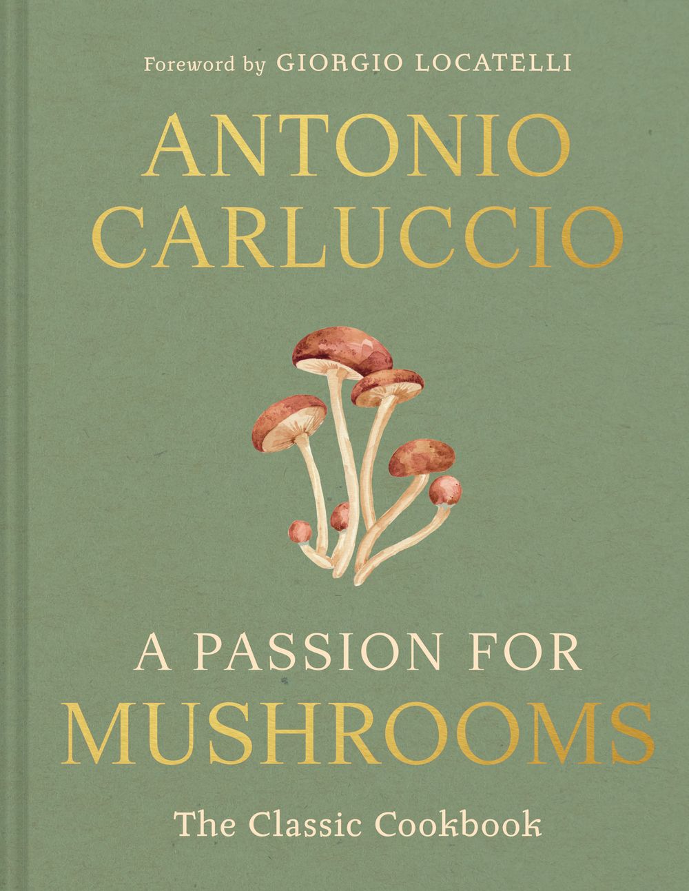 A Passion for Mushrooms