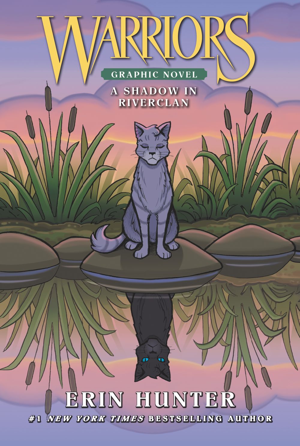 Warriors: A Shadow in Riverclan Graphic Novel