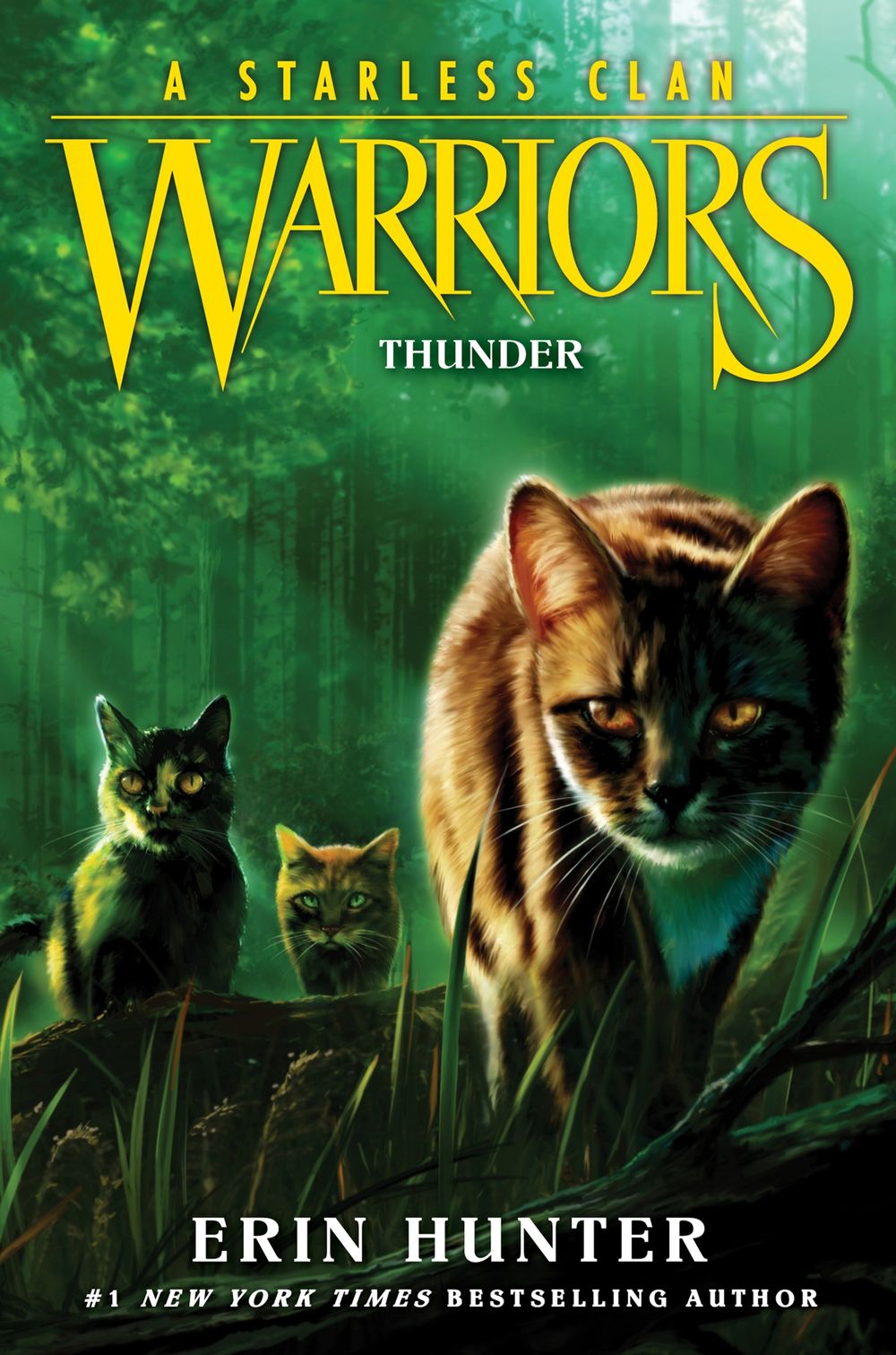 Warriors A Starless Clan #4 - Thunder