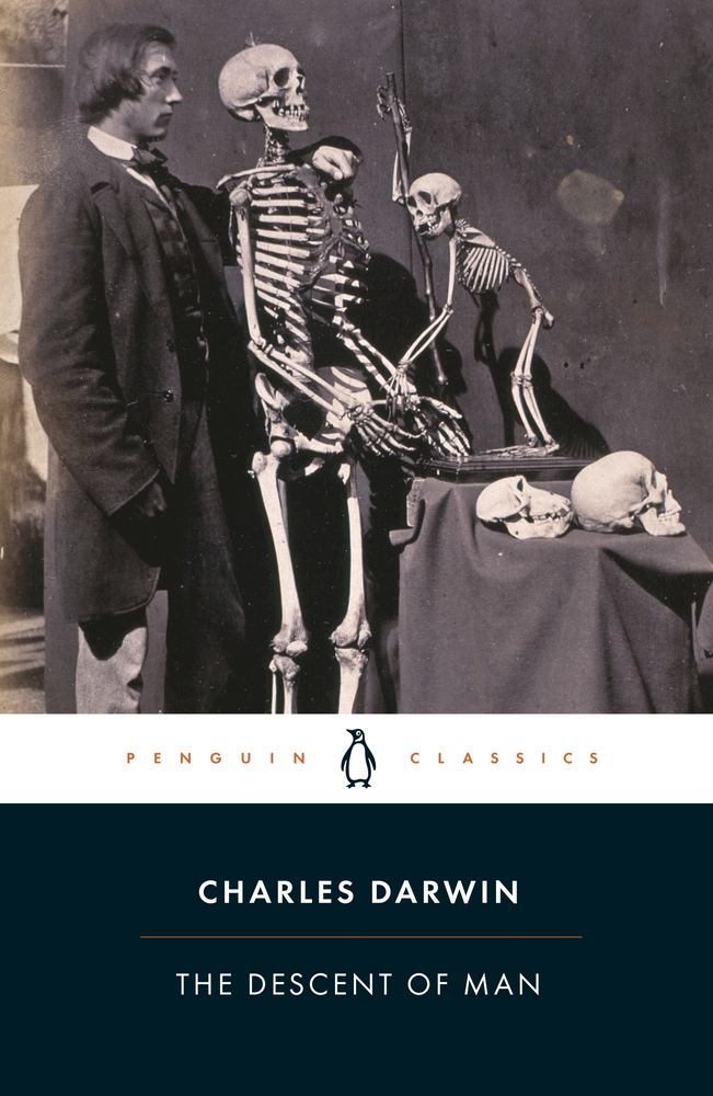 The Descent of Man book cover