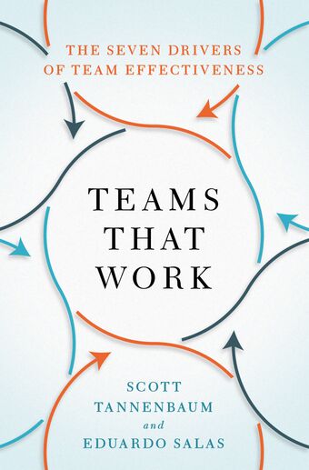 Teams That Work book cover