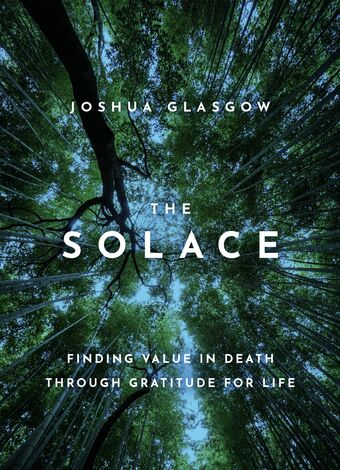 The Solace book cover
