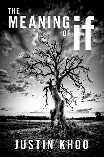 The Meaning of If book cover