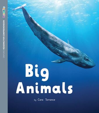 ORFC Decodable Book 46 Big Animals Pack book cover