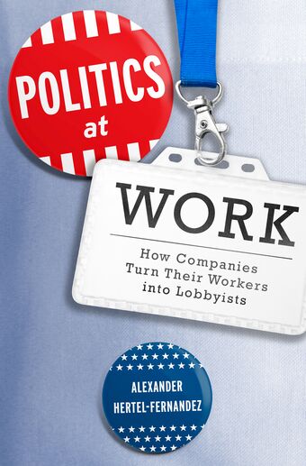 Politics at Work book cover