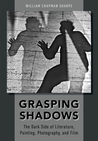 Grasping Shadows book cover