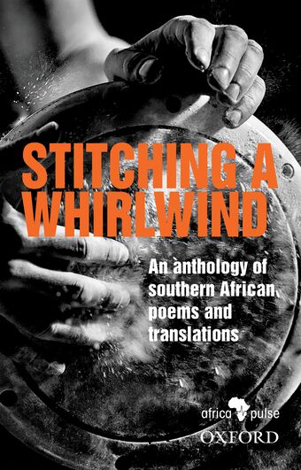 Stitching a Whirlwind book cover