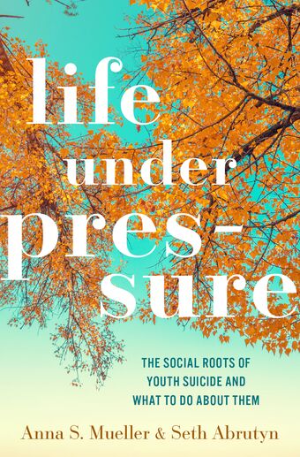 Life under Pressure The Social Roots of Youth Suicide and What to Do About Them book cover