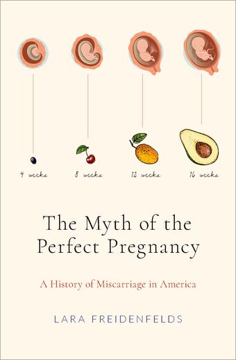 The Myth of the Perfect Pregnancy book cover