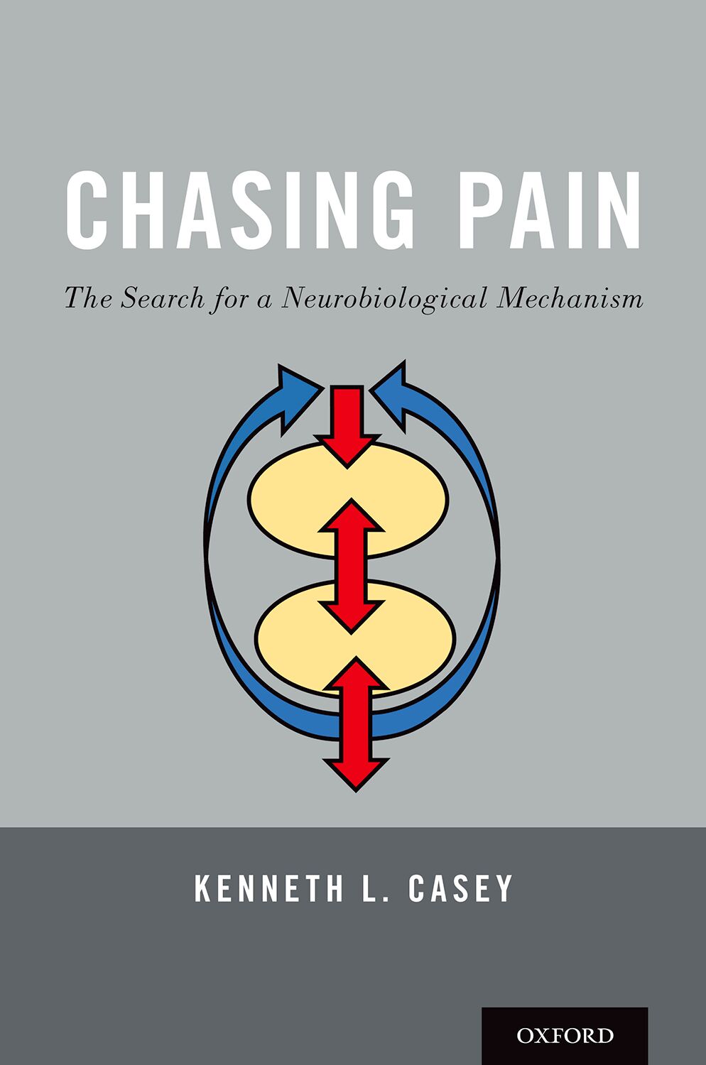 Chasing Pain book cover