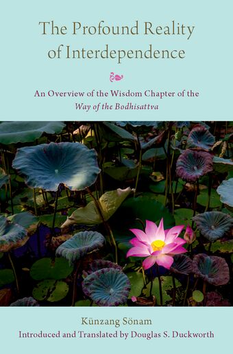 The Profound Reality of Interdependence book cover