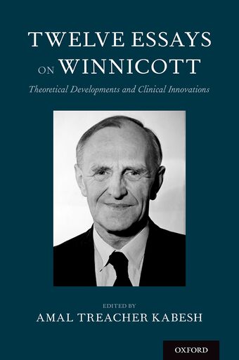 Twelve Essays on Winnicott book cover