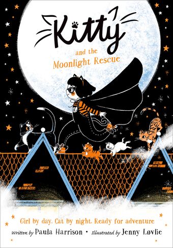 Kitty and the Moonlight Rescue book cover