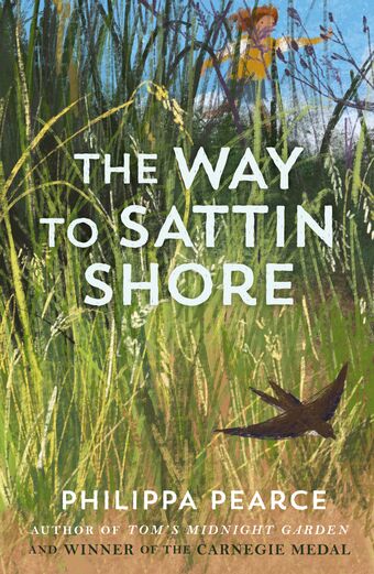 The Way to Sattin Shore book cover