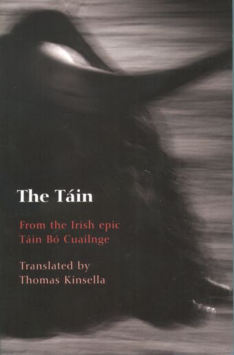 The Tain book cover