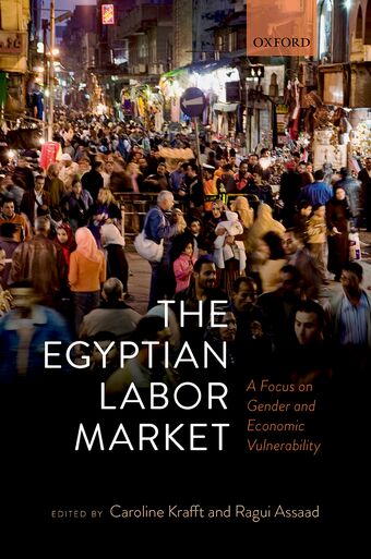 The Egyptian Labor Market A Focus on Gender and Economic Vulnerability book cover