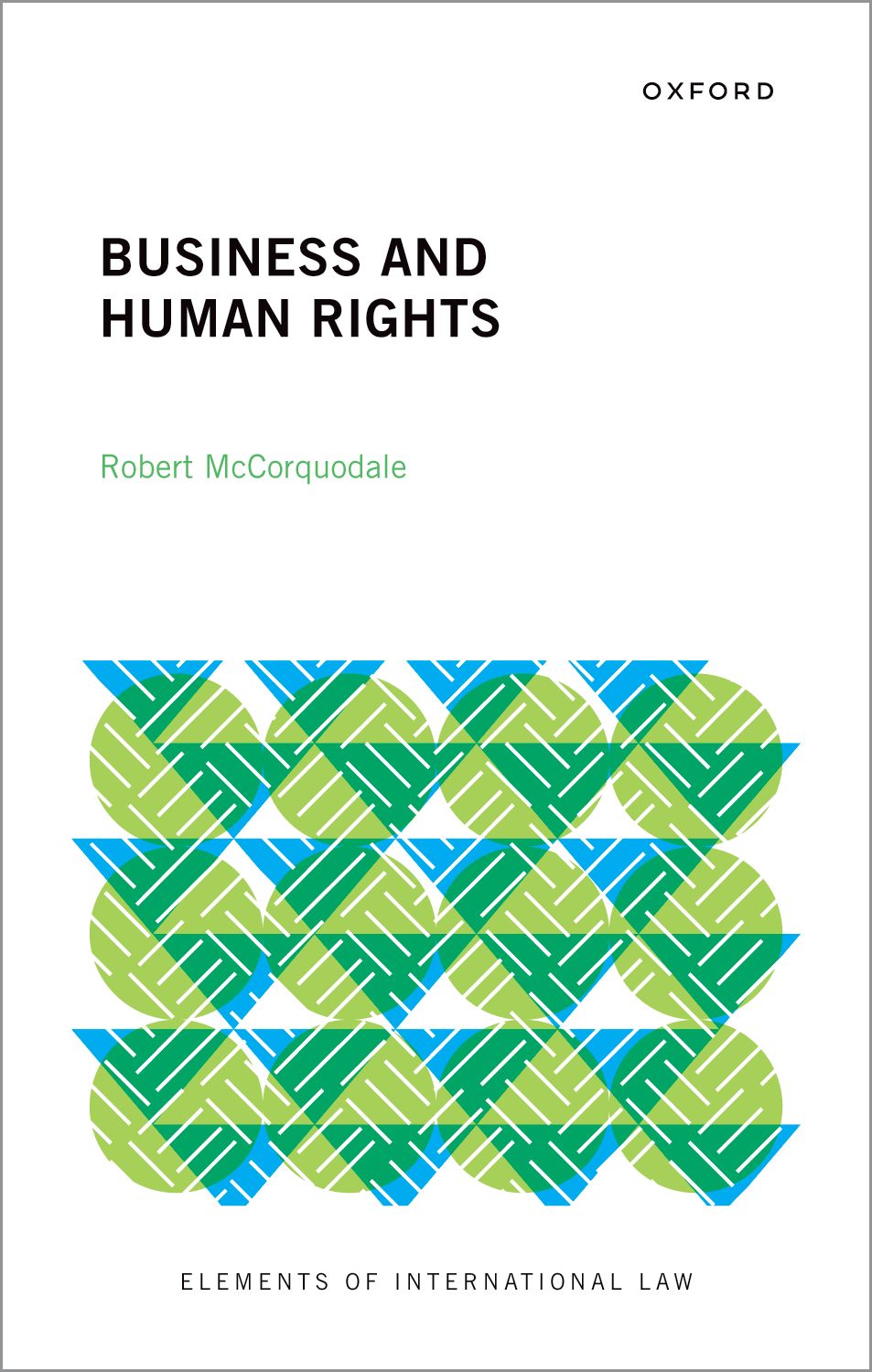 Business and Human Rights book cover