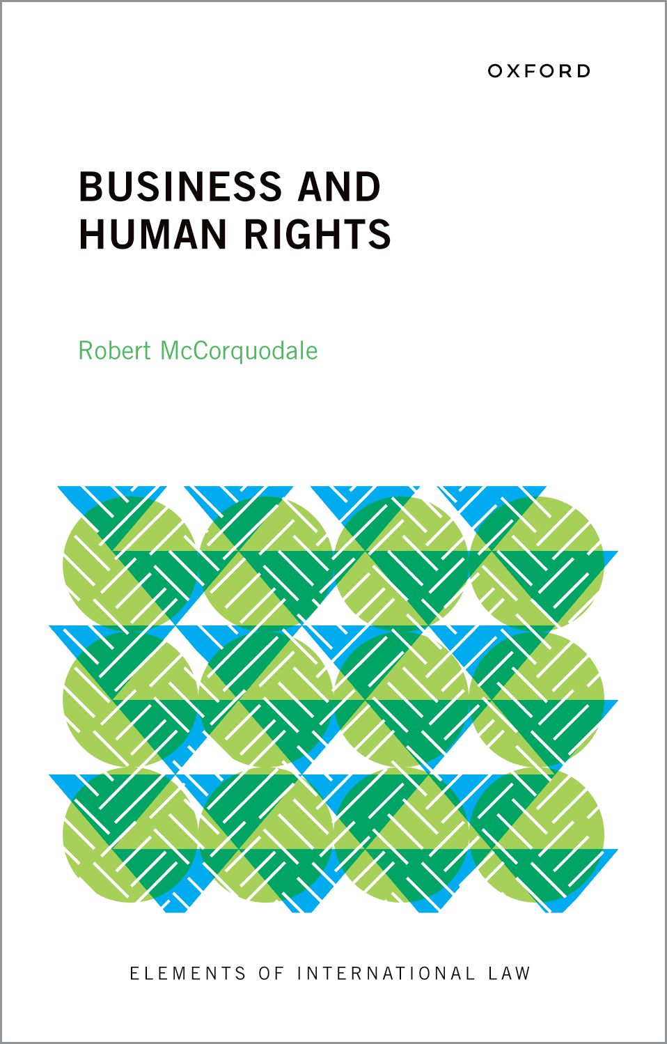 Business and Human Rights book cover