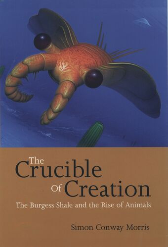 The Crucible of Creation book cover
