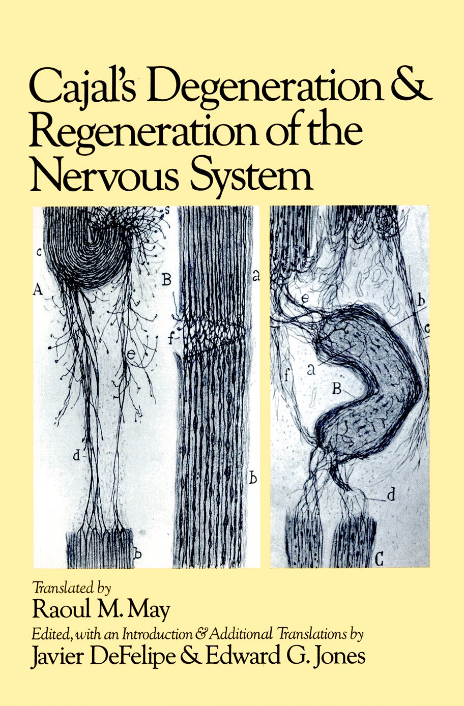 Cajal's Degeneration and Regeneration of the Nervous System book cover