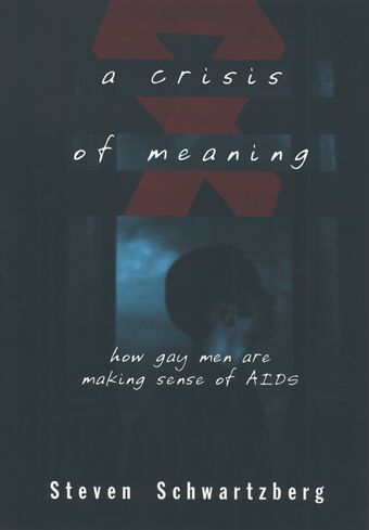 A Crisis of Meaning book cover