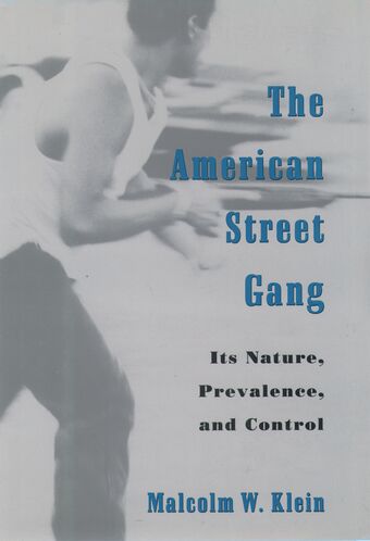 The American Street Gang book cover