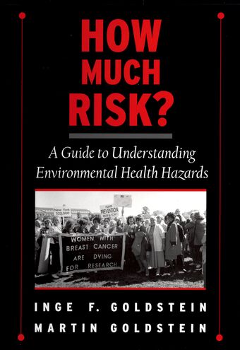 How Much Risk? book cover