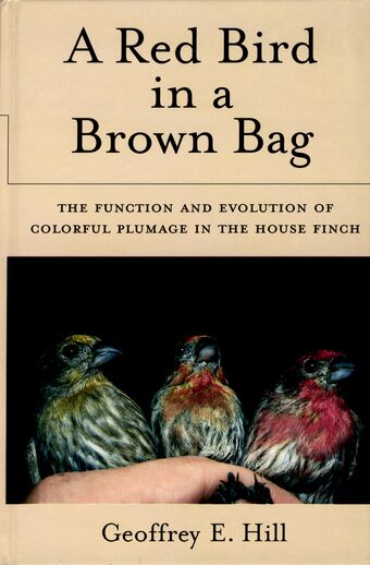 A Red Bird in a Brown Bag book cover
