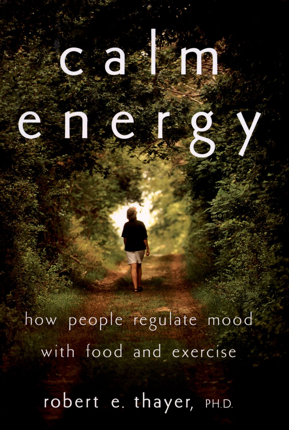 Calm Energy book cover