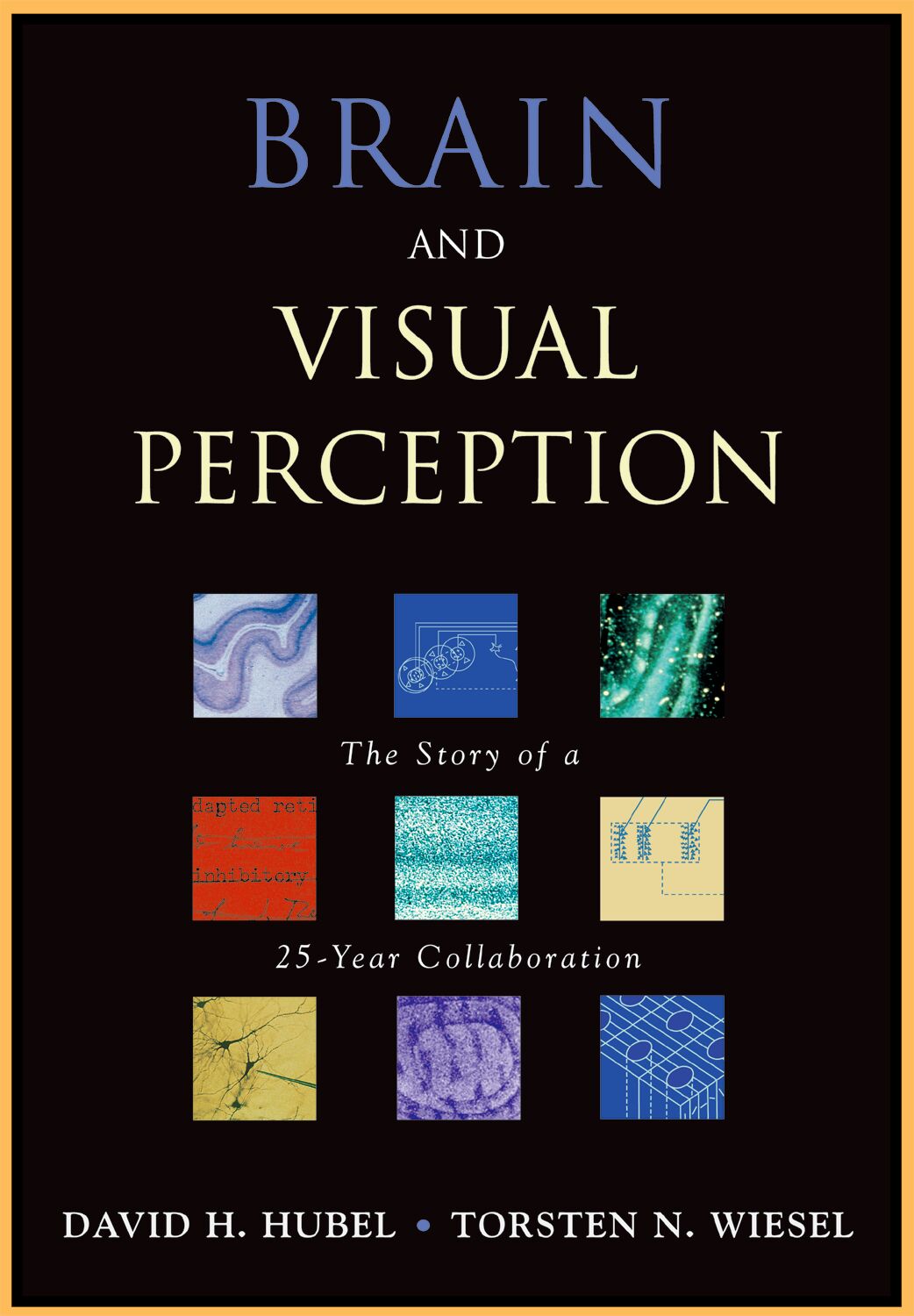 Brain and Visual Perception book cover