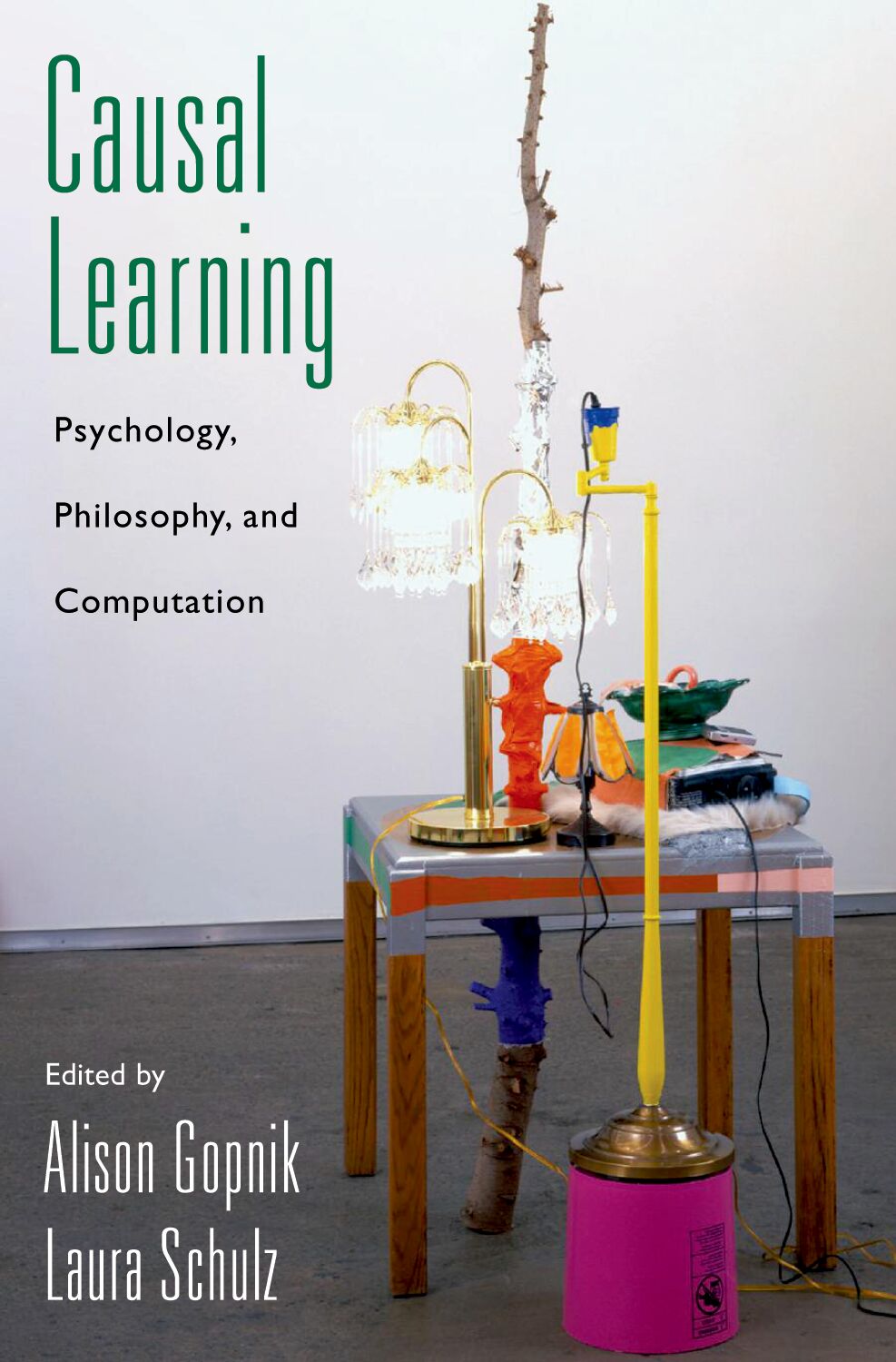 Causal Learning book cover