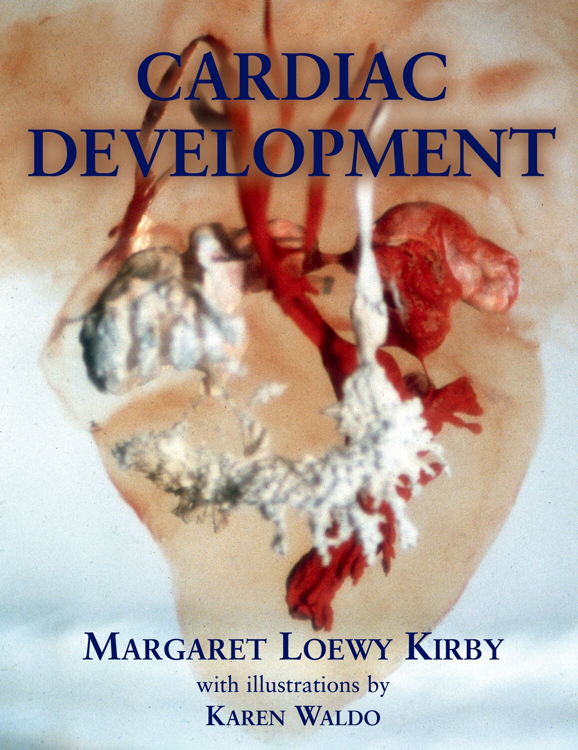 Cardiac Development book cover