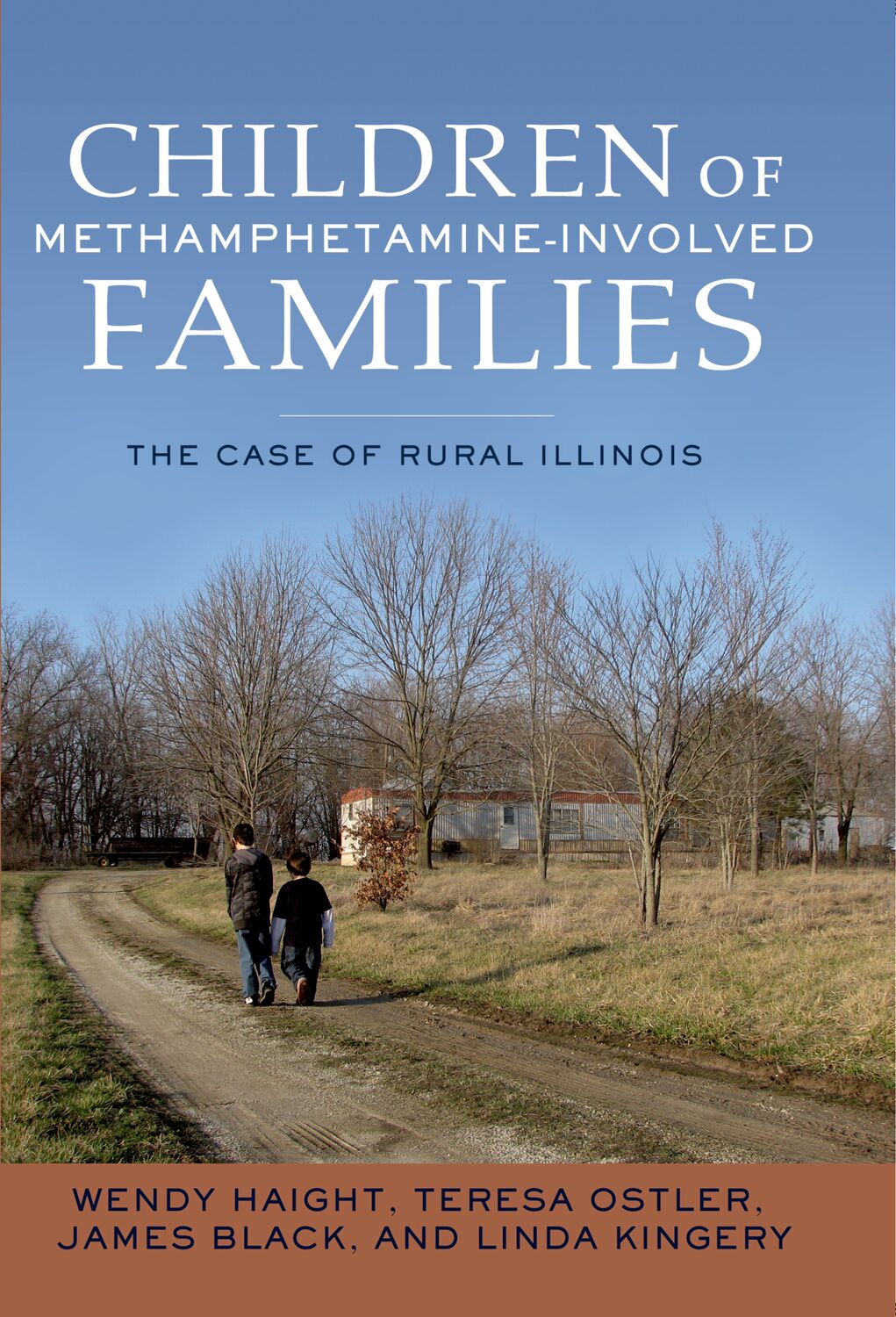 Children of Methamphetamine-Involved Families book cover
