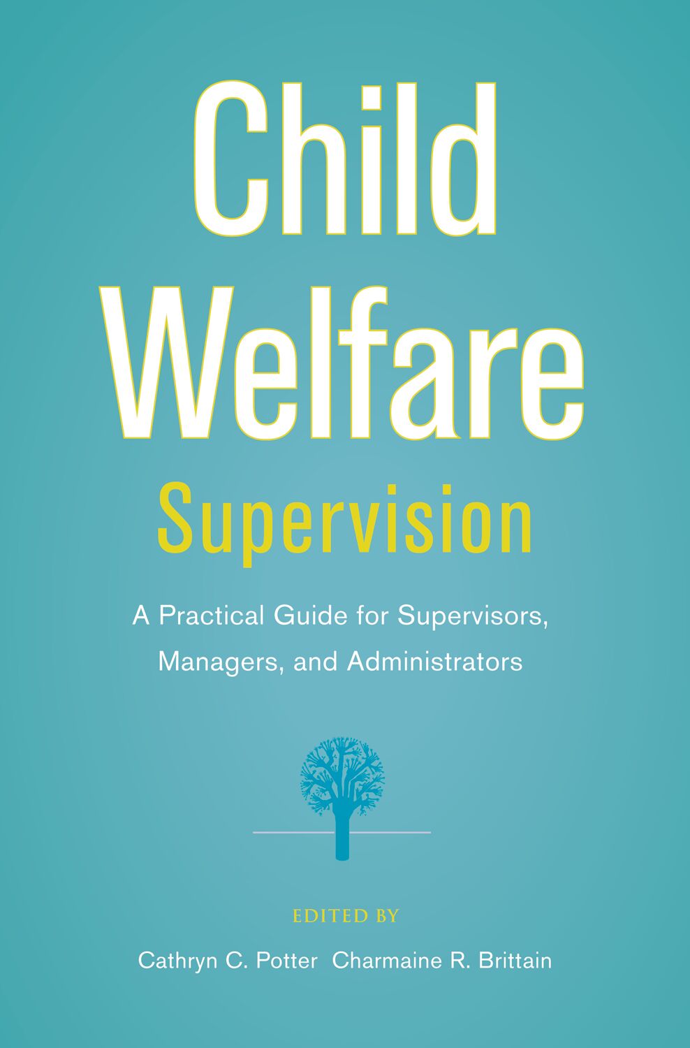 Child Welfare Supervision book cover