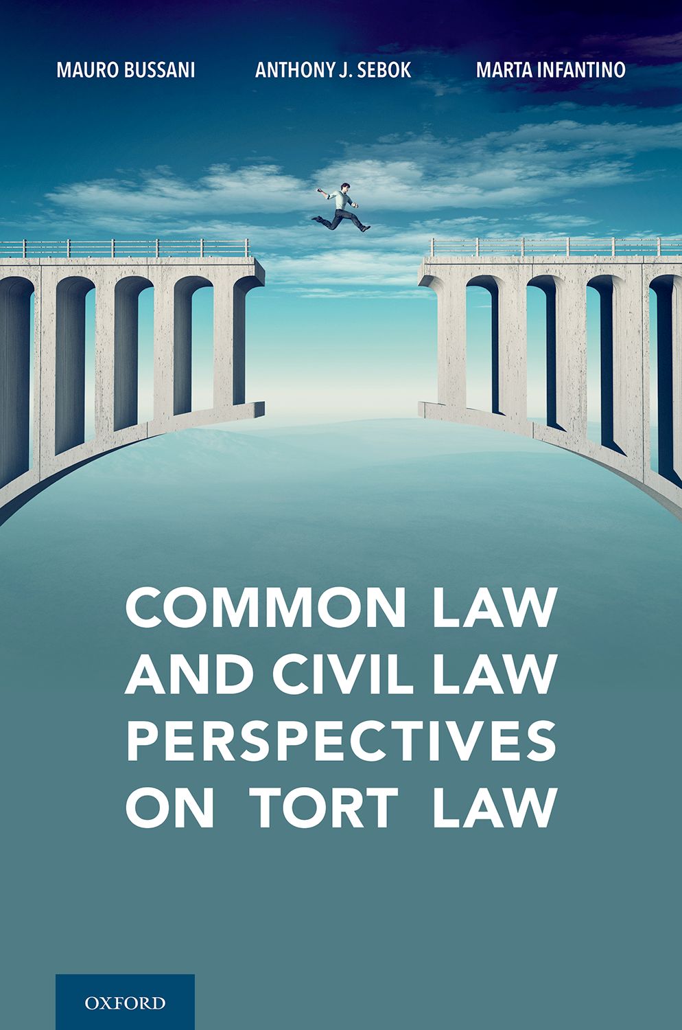 Common Law and Civil Law Perspectives on Tort Law book cover