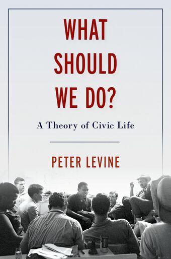What Should We Do? A Theory of Civic Life book cover
