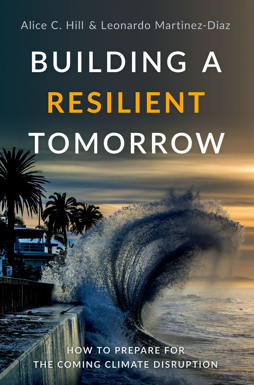 Building a Resilient Tomorrow How to Prepare for the Coming Climate Disruption book cover