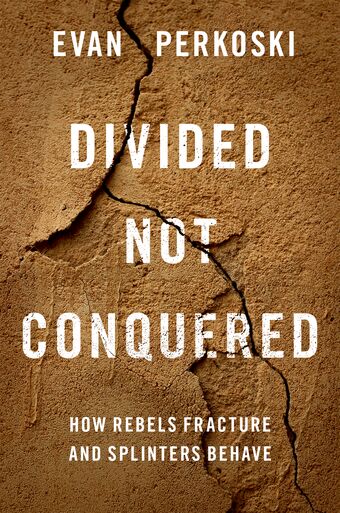 Divided Not Conquered book cover