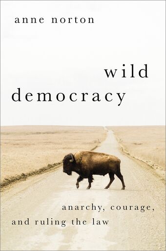 Wild Democracy Anarchy Courage and Ruling the Law book cover