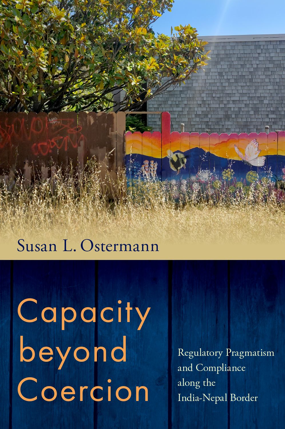 Capacity beyond Coercion book cover