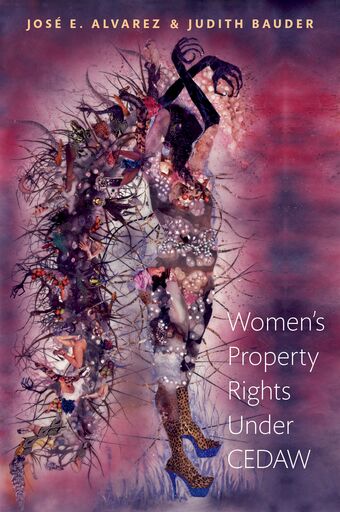 Women's Property Rights Under CEDAW book cover